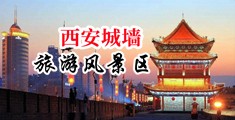 搞基干翻女人中国陕西-西安城墙旅游风景区