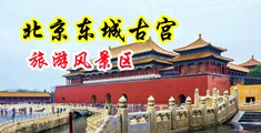 淫水骚少妇中国北京-东城古宫旅游风景区